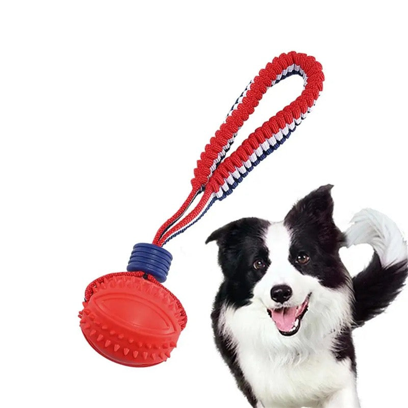 Stop Destructive Chewing Dog Ball